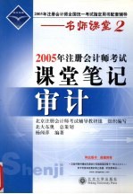 2005年注册会计师考试课堂笔记 审计