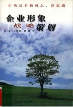 市场竞争新视点、新思路 企业形象战略策划