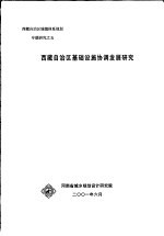 西藏自治区基础设施协调发展研究