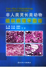 非人类灵长类动物组织病理学图谱