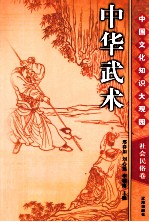 中华武术 下