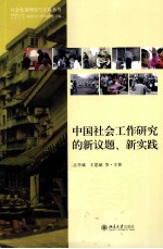 中国社会工作研究的新议题、新实践