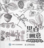 黑白画意  经典植物手绘教程