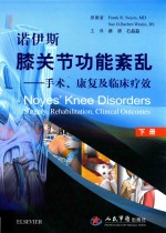 诺伊斯膝关节功能紊乱  手术、康复及临床疗效  下