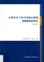 市场经济下的中国城市规划 发展规划的范式 第2版