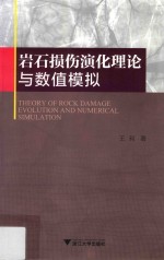 岩石损伤演化理论与数值模拟