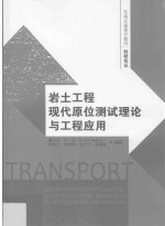 岩土工程现代原位测试理论与工程应用