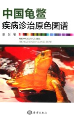 中国龟鳖疾病诊治原色图谱