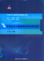 中西医结合临床研究新进展大系  中西医结合糖尿病学研究新进展