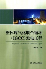 整体煤气化联合循环（IGCC）发电工程