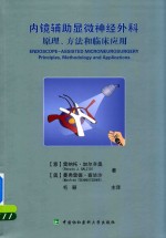 内镜辅助显微神经外科 原理、方法和临床应用