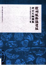 胶州板桥镇遗址考古文物图集