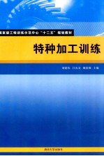 国家级工程训练示范中心十二五规划教材 特种加工训练