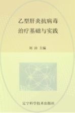 乙型肝炎抗病毒治疗基础与实践