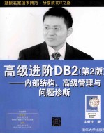 高级进阶DB2  第2版  内部结构、高级管理与问题诊断