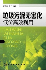 垃圾污泥无害化低价高效利用