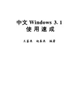 中文Windows 3.1使用速成