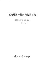 核电磁脉冲辐射与防护技术