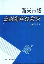 新兴市场金融脆弱性研究