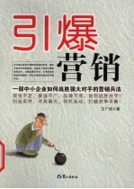 引爆营销：一部中小企业如何战胜强大对手的营销兵法