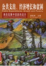 公共支出、增长和贫困：来自发展中国家的启示