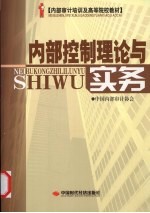 内部控制理论与实务