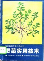 野菜实用技术