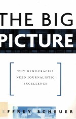 THE BIG PICTURE WHY DEMOCRACIES NEED JOURNALISTIC EXCELLENCE