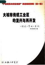 “产业发展与城市经济”政府管理战略 第1辑 大城市传统工业区的复兴与再开发：理论·策略·案例