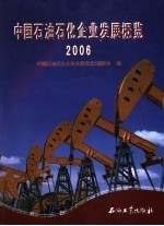 中国石油石化企业发展概览 2006