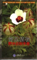 常见植物野外识别手册