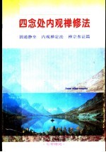 四念处内观禅修法：圆通静坐  内观禅定法  禅宗参证篇