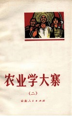 农业学大寨 2