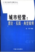 城市经营 理论·实践·典型案例