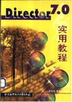 Director 7.0实用教程