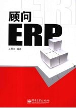 顾问 ERP