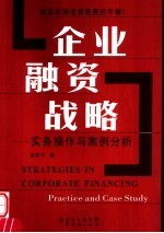 企业融资战略 实务操作与案例分析 practice and case study