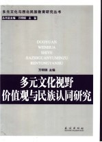 多元文化视野 价值观与民族认同研究