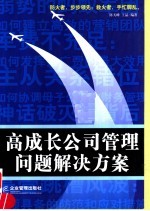 高成长公司管理问题解决方案