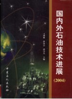 国内外石油技术进展 2004