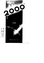 四川奔向2000年——四川省经济科技社会发展战略和国土规划（综合卷）