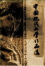 中国现代文学作品选 下