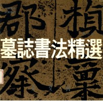 墓志书法精选 第6册 元桢墓志、奚真墓志