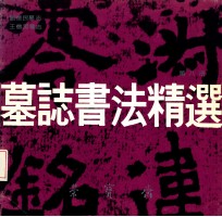 墓志书法精选 第8册 刘怀民墓志、王僧男墓志