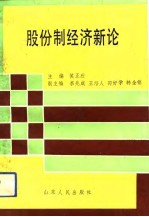 股份制经济新论