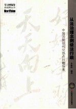 从法治理念到依法执政 中国法制现代化热点问题探索