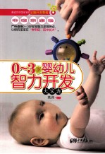 0-3岁婴幼儿智力开发大宝典