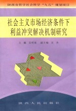 社会主义市场经济条件下利益冲突解决机制研究