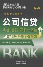 公司信贷考点 真题 冲刺一本通 复习指导+考点解析+预测试题 初级