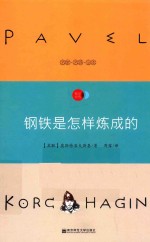 语文新课标必读丛书 钢铁是怎样炼成的 国家教育部推荐读物 畅享经典子母版